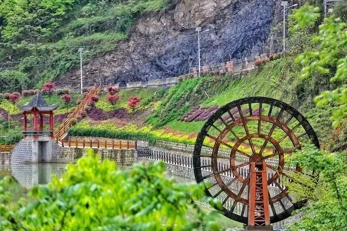 汉中红镇巴高山富硒茶(汉中汉山红茶)-硒宝网