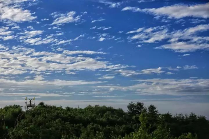 汉中红镇巴高山富硒茶(汉中汉山红茶)-硒宝网