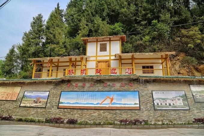 汉中红镇巴高山富硒茶(汉中汉山红茶)-硒宝网