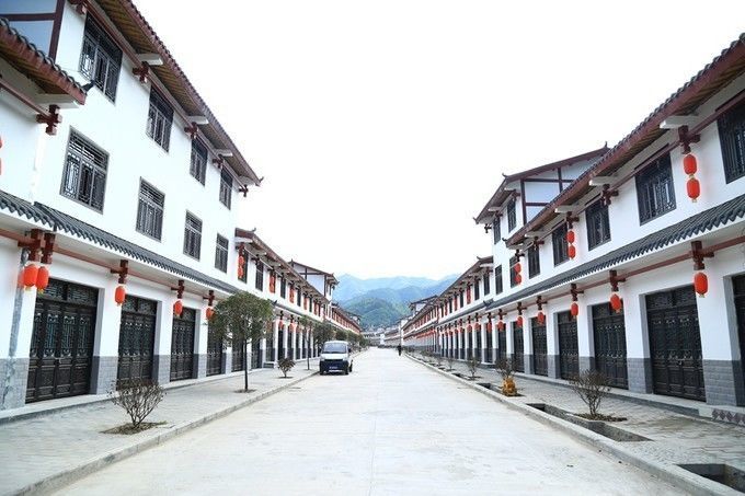 汉中红镇巴高山富硒茶(汉中汉山红茶)-硒宝网