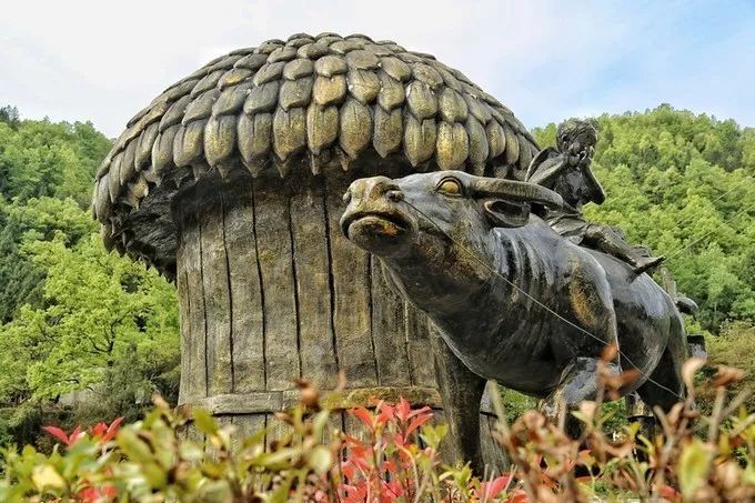 汉中红镇巴高山富硒茶(汉中汉山红茶)-硒宝网