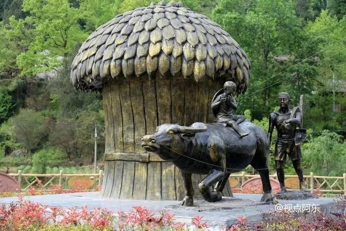 汉中红镇巴高山富硒茶(汉中汉山红茶)-硒宝网