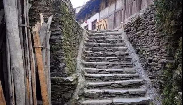 汉中红镇巴高山富硒茶(汉中汉山红茶)-硒宝网