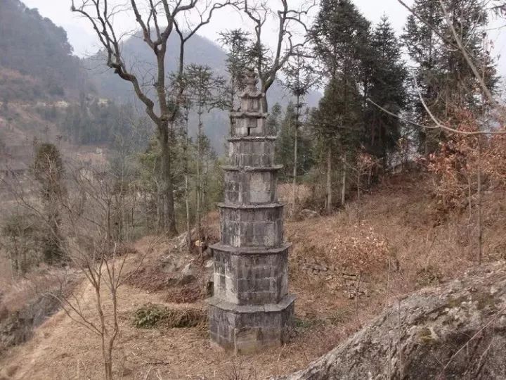 汉中红镇巴高山富硒茶(汉中汉山红茶)-硒宝网