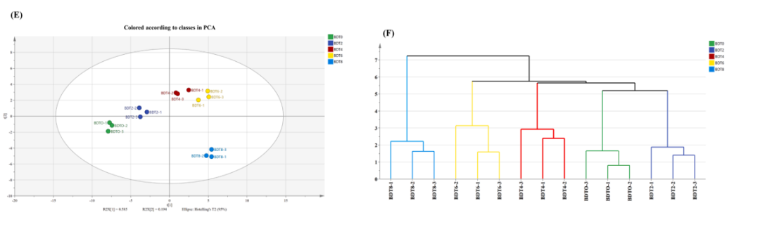 富硒茶抗氧化活性成分(抗氧化活性成分有哪些)-硒宝网