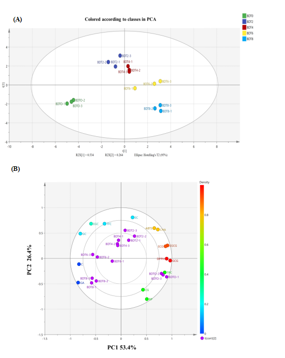 富硒茶抗氧化活性成分(抗氧化活性成分有哪些)-硒宝网