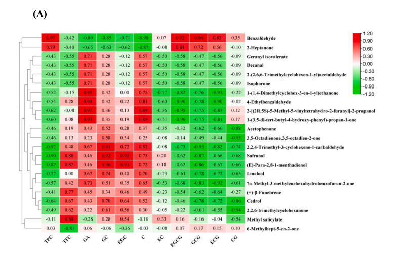富硒茶抗氧化活性成分(抗氧化活性成分有哪些)-硒宝网