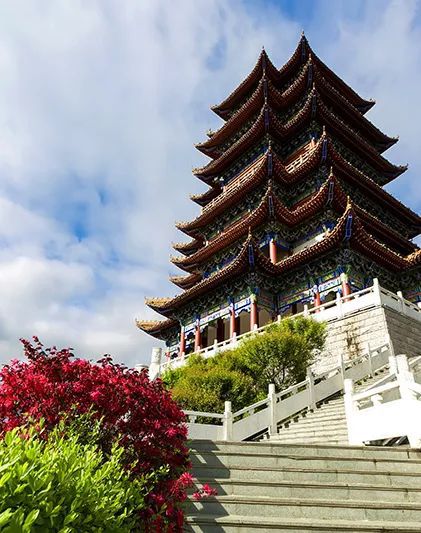 紫阳富硒茶获得的荣誉(紫阳富硒茶叶)-硒宝网