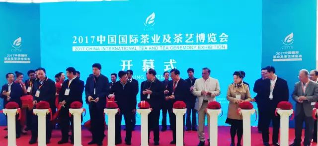 富硒茶哪个产地最好喝(富硒茶口感)-硒宝网