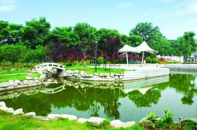 江夏醇厚的富硒茶好吗（湖北富硒茶多少钱一斤）-硒宝网