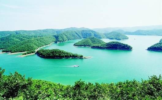 江夏醇厚的富硒茶好吗（湖北富硒茶多少钱一斤）-硒宝网