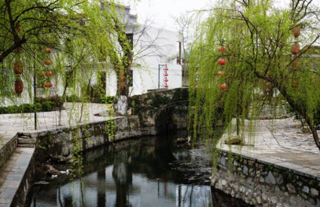 江夏醇厚的富硒茶好吗（湖北富硒茶多少钱一斤）-硒宝网