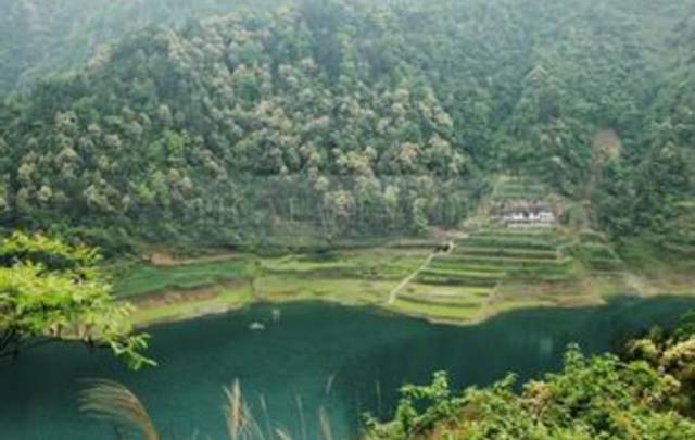 江夏醇厚的富硒茶好吗（湖北富硒茶多少钱一斤）-硒宝网