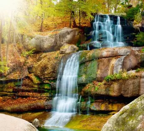 江夏醇厚的富硒茶好吗（湖北富硒茶多少钱一斤）-硒宝网