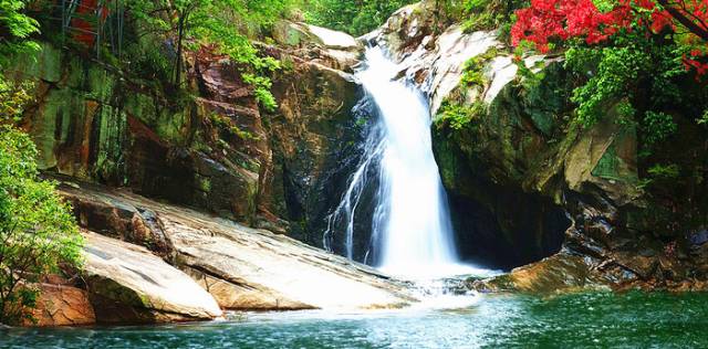 江夏醇厚的富硒茶好吗（湖北富硒茶多少钱一斤）-硒宝网