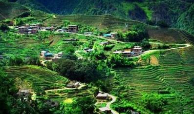 江夏醇厚的富硒茶好吗（湖北富硒茶多少钱一斤）-硒宝网