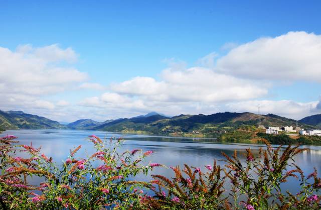 江夏醇厚的富硒茶好吗（湖北富硒茶多少钱一斤）-硒宝网