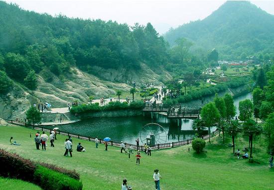 江夏醇厚的富硒茶好吗（湖北富硒茶多少钱一斤）-硒宝网