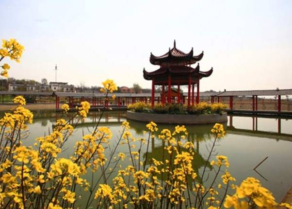 江夏醇厚的富硒茶好吗（湖北富硒茶多少钱一斤）-硒宝网