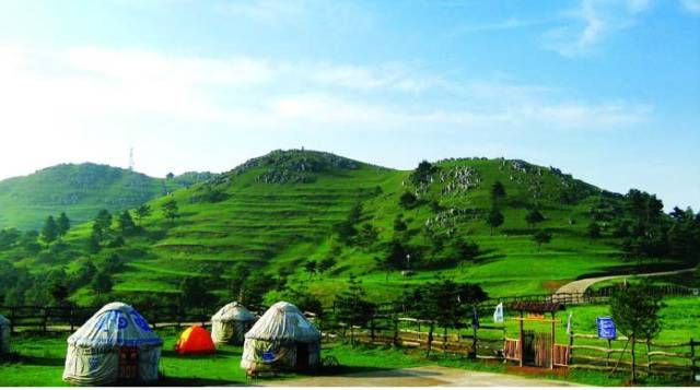 江夏醇厚的富硒茶好吗（湖北富硒茶多少钱一斤）-硒宝网