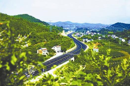 江夏醇厚的富硒茶好吗（湖北富硒茶多少钱一斤）-硒宝网