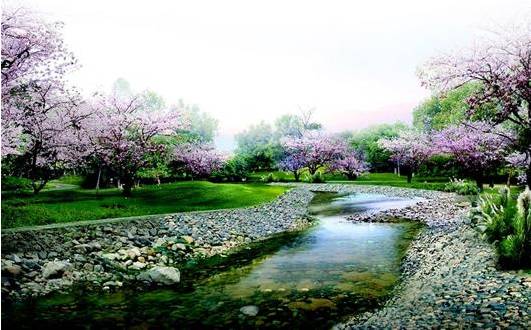 江夏醇厚的富硒茶好吗（湖北富硒茶多少钱一斤）-硒宝网