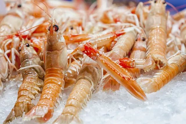 虾皮怎么做好吃又补钙(好吃补钙虾皮做法大全)-硒宝网