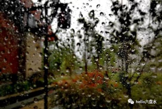 富硒茶啤酒哪个品牌好（富硒茶啤酒口感）-硒宝网