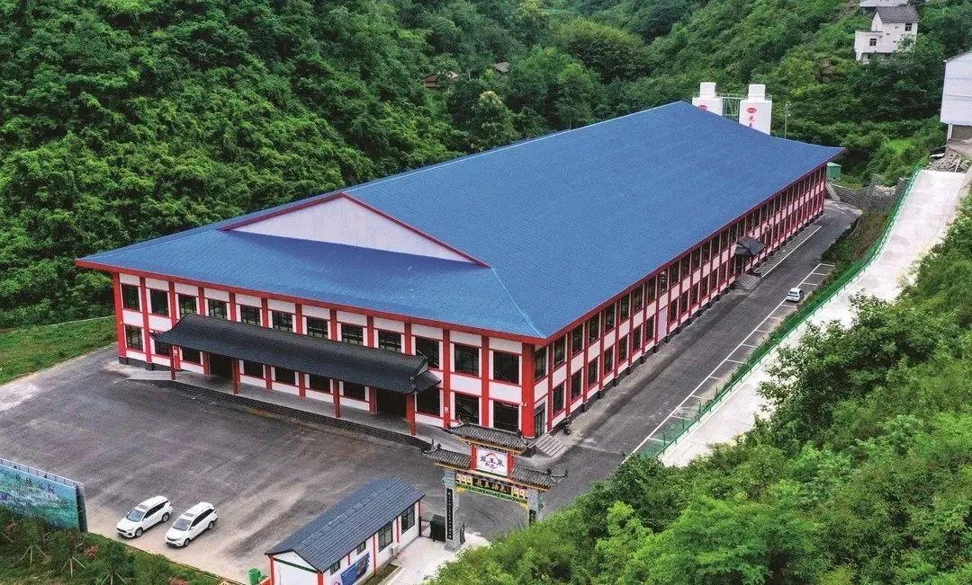 富硒茶和碧螺春哪个好（碧螺春茶的寓意）-硒宝网