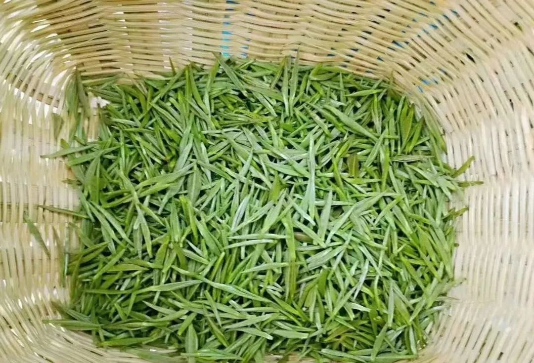 富硒茶和碧螺春哪个好（碧螺春茶的寓意）-硒宝网