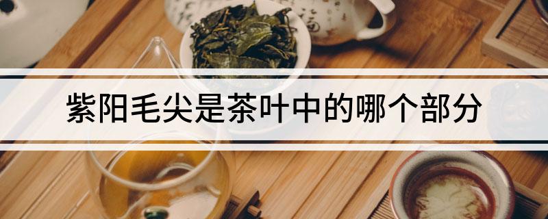 紫阳毛尖和富硒茶区别(富硒紫阳毛尖价格)-硒宝网