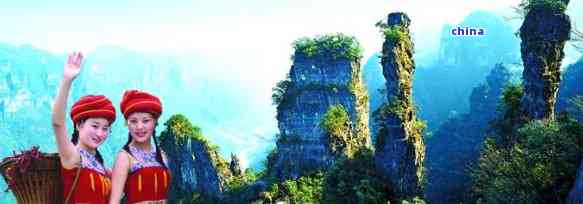 醇厚的富硒茶玉露厂家（玉露茶价格）-硒宝网