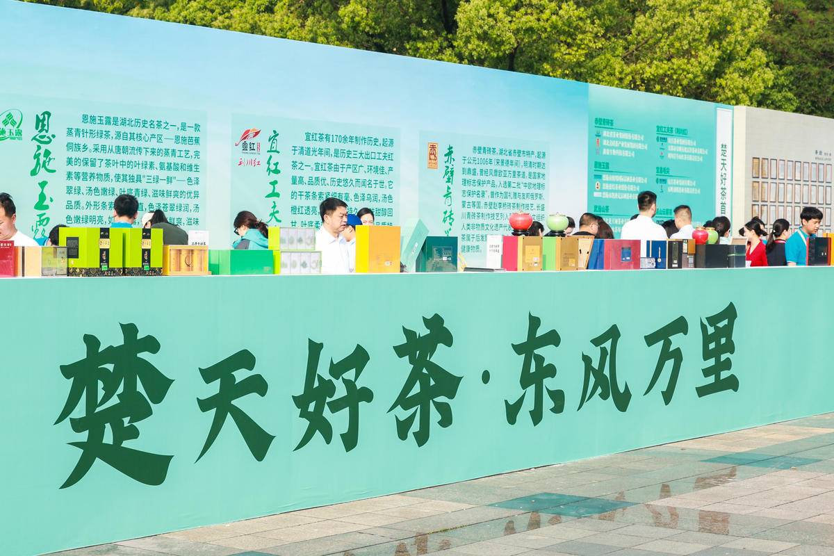 湖北富硒茶哪里的最好(湖北富硒茶是绿茶吗)-硒宝网
