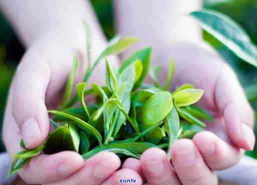 喝了富硒茶影响睡眠吗（睡眠喝茶富硒影响睡眠吗）-硒宝网