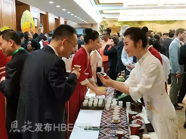 富硒茶是不是绿茶类型(绿茶茶类型富硒是哪种)-硒宝网