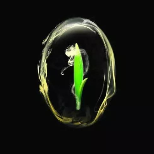 富硒茶是不是绿茶类型(绿茶茶类型富硒是哪种)-硒宝网