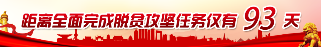 醇厚的恩施富硒茶地址（湖北的恩施富硒茶厂）-硒宝网