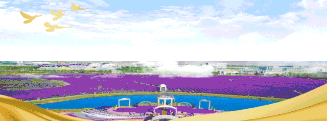 醇厚的恩施富硒茶地址（湖北的恩施富硒茶厂）-硒宝网