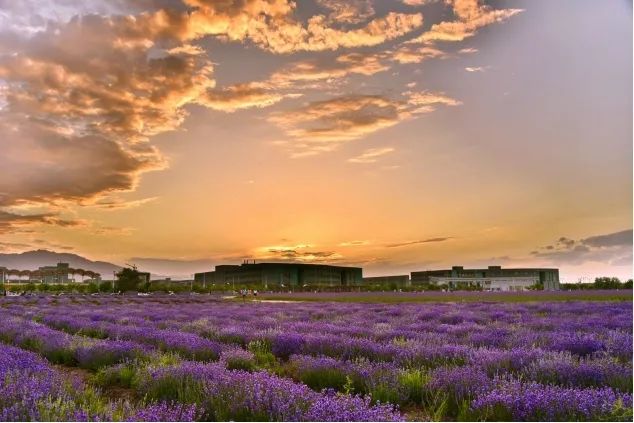 醇厚的恩施富硒茶地址（湖北的恩施富硒茶厂）-硒宝网