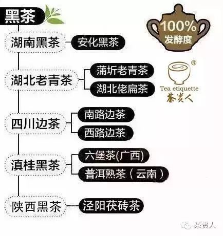 陕西富硒茶有哪些品种(陕西茶品种富硒有几种)-硒宝网