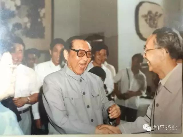 紫阳富硒茶的发展历程(紫阳富硒茶历史)-硒宝网