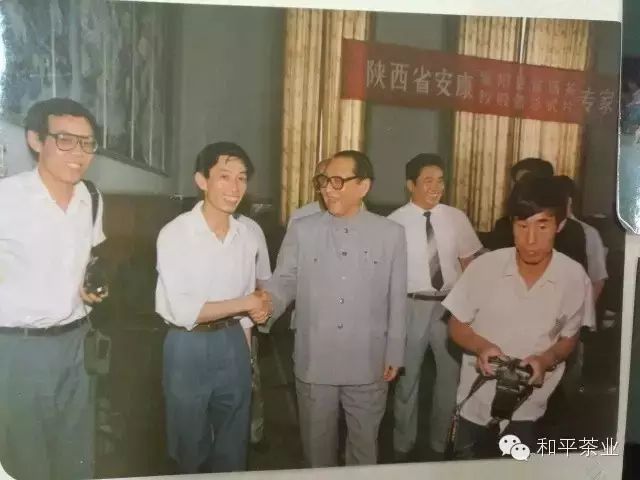 紫阳富硒茶的发展历程(紫阳富硒茶历史)-硒宝网