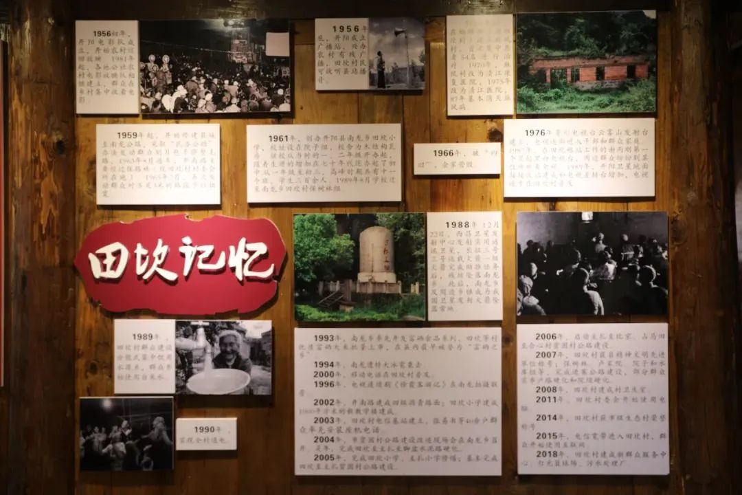 富硒茶贵州开阳排第几(开阳富硒茶园)-硒宝网