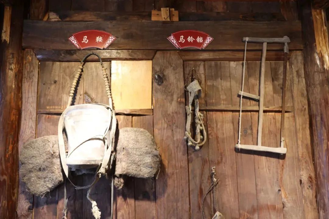 富硒茶贵州开阳排第几(开阳富硒茶园)-硒宝网