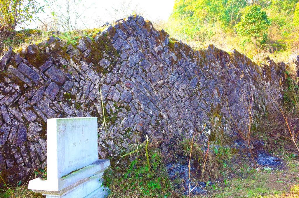 富硒茶贵州开阳排第几(开阳富硒茶园)-硒宝网