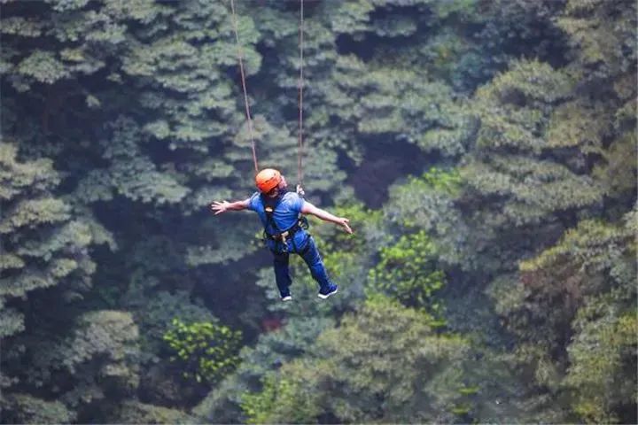 富硒茶贵州开阳排第几(开阳富硒茶园)-硒宝网