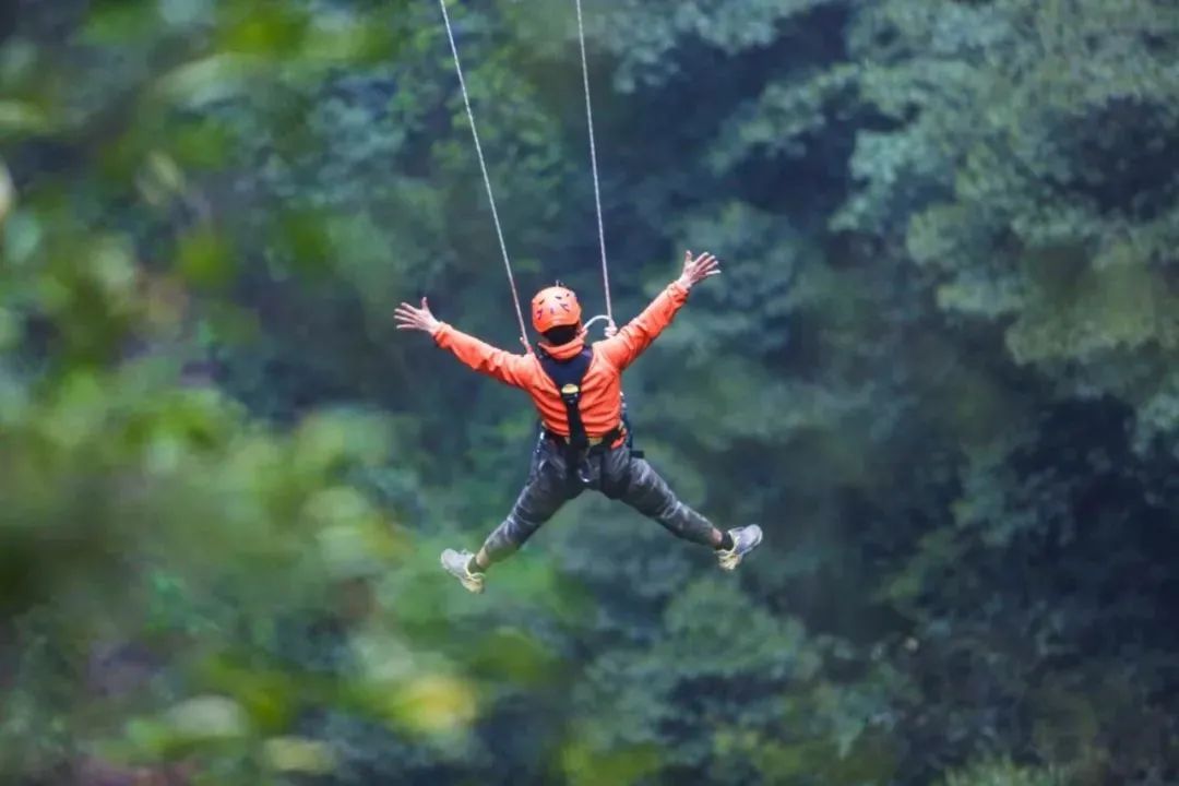 富硒茶贵州开阳排第几(开阳富硒茶园)-硒宝网
