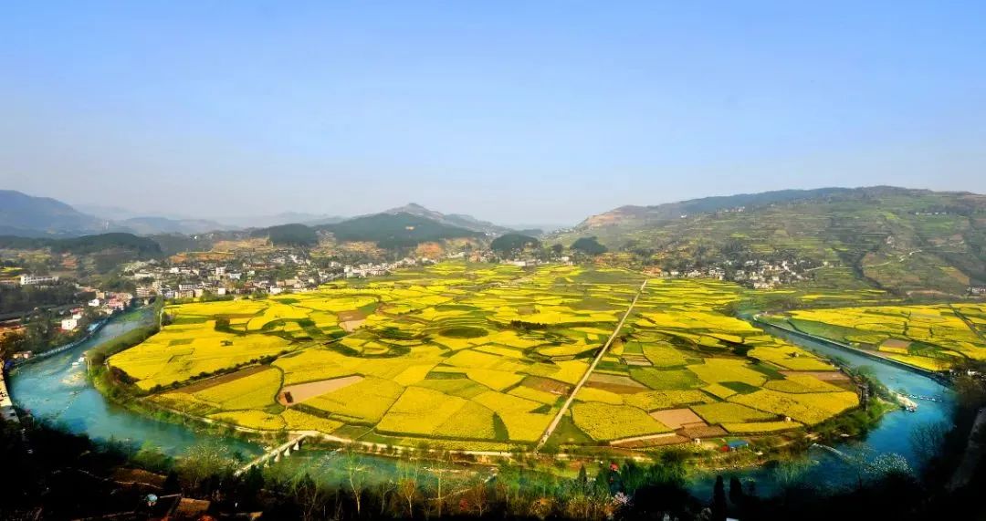 富硒茶贵州开阳排第几(开阳富硒茶园)-硒宝网