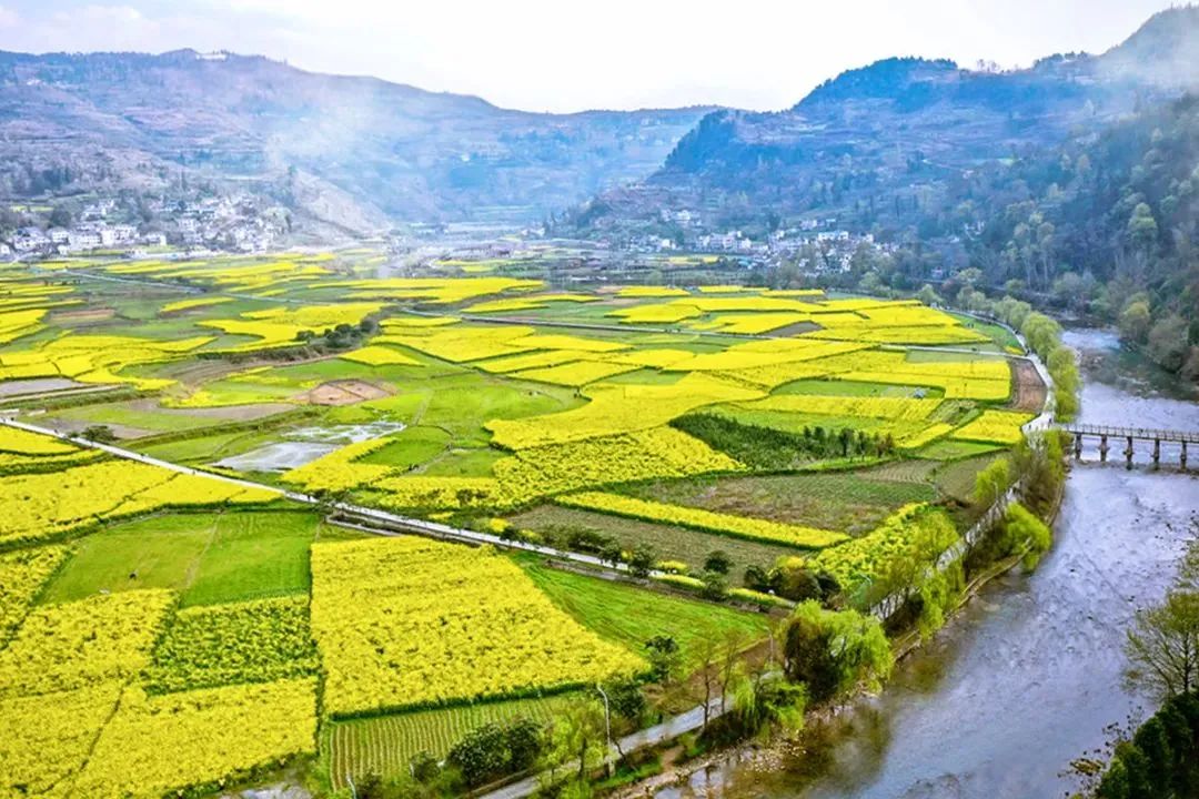 富硒茶贵州开阳排第几(开阳富硒茶园)-硒宝网