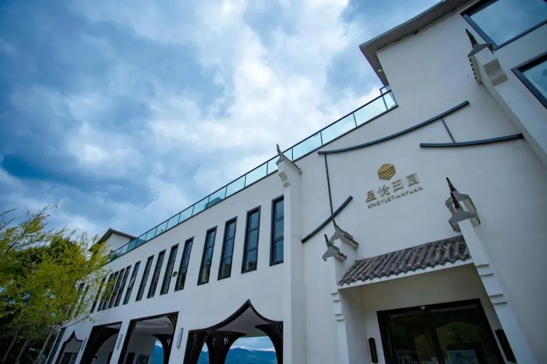 富硒茶贵州开阳排第几(开阳富硒茶园)-硒宝网